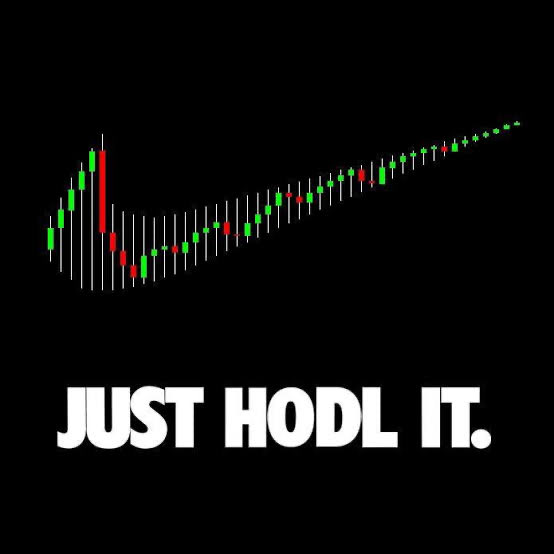 Just HODL It Nike